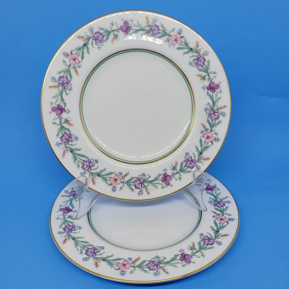 Royal Worcester "ELYSIAN" Set Of 2 Vintage 8" Salad Plates VGUC